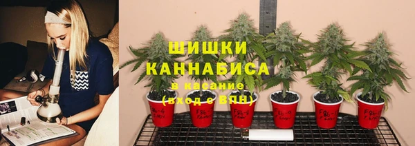 ПСИЛОЦИБИНОВЫЕ ГРИБЫ Абаза