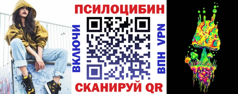 Псилоцибиновые грибы Psilocybe Вилючинск
